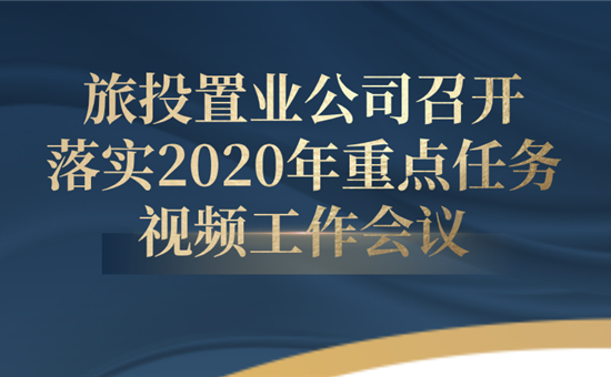 尊龙凯时最新平台置业公司召开落实2020年重点任务视频工作会议